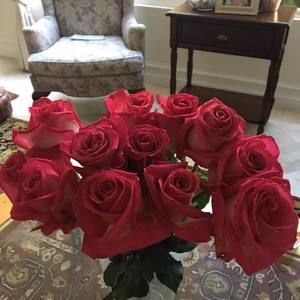 Meet your Posher, Frkw